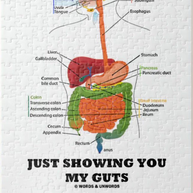 Puzzle Je Vous Montre Mes Aiguilles (Humour Système Diges (Jigsaw puzzle featuring human digestive system along with truism caption "Just Showing You My Guts".)