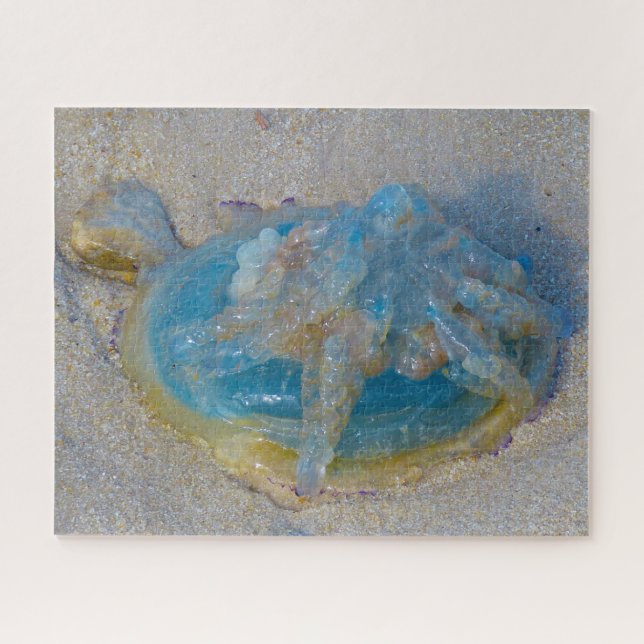 Puzzle Jelly Fish (Horizontal)