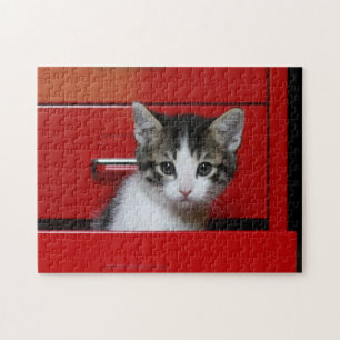 Puzzle Jeter un coup d'oeil de chaton