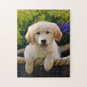 Puzzle Jeu de charme 11x14 de chiot de chien de Goldie