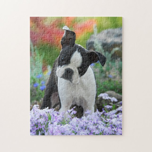 Puzzle Jeu mignon 11x14 de chiot de chien de Boston (Vertical)