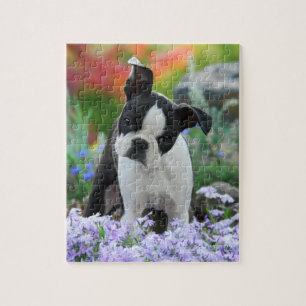 Puzzle Jeu mignon 8x10 de chiot de chien de Boston