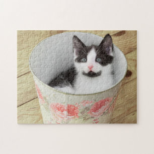 Puzzle Jeu Puzzle-Chaton