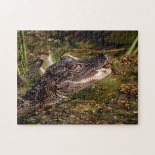 Puzzle Jeune Alligator