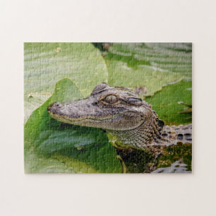 Puzzle Jeune Alligator