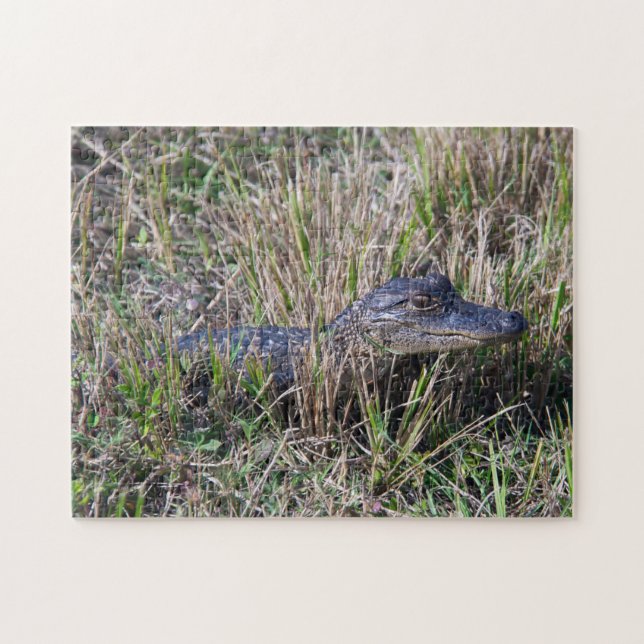 Puzzle Jeune Alligator dans la Prairie de Marais Faune Na (Horizontal)