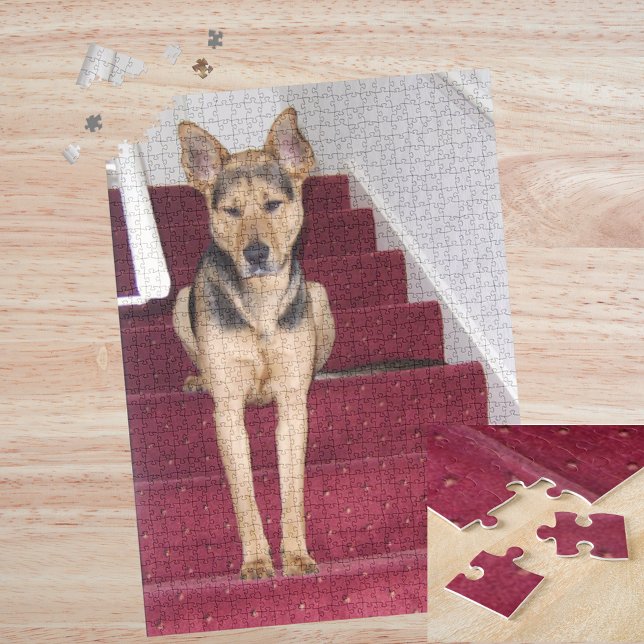 Puzzle Jeune berger allemand chien assis sur escaliers 16 (Young German Shepherd Dog Sitting on Stairs 16x20 Jigsaw Puzzle)