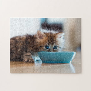 Puzzle Jeune chaton persan