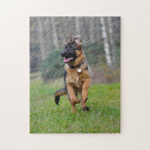 Puzzle Jeune chien berger allemand en marche