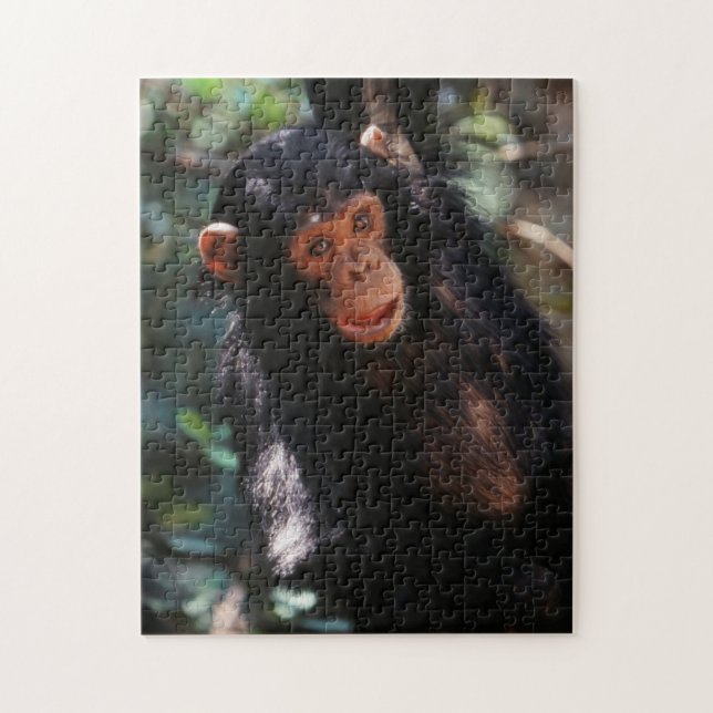 Puzzle Jeune chimpanzé (Vertical)