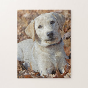 Puzzle Jeune chiot jaune de labrador retriever