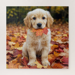 Puzzle Jeune chiot Retriever doré dans des feuilles d'aut