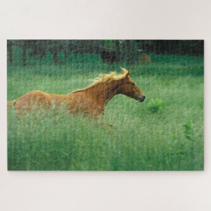 Puzzle Jeune étalon court à travers la prairie