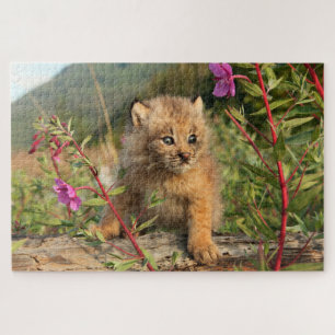Puzzle Jeune Lynx du Canada, Alaska