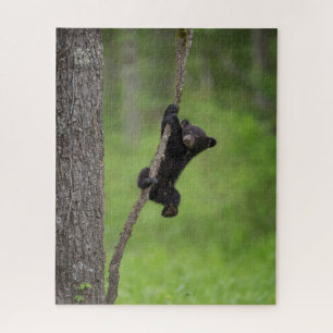 Puzzle Jeune ourson noir jouant sur une branche d'arbre