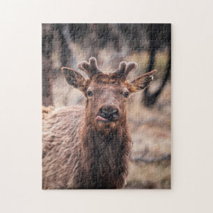 Puzzle Jeune taureau cerf élaphe drôle animal sauvage