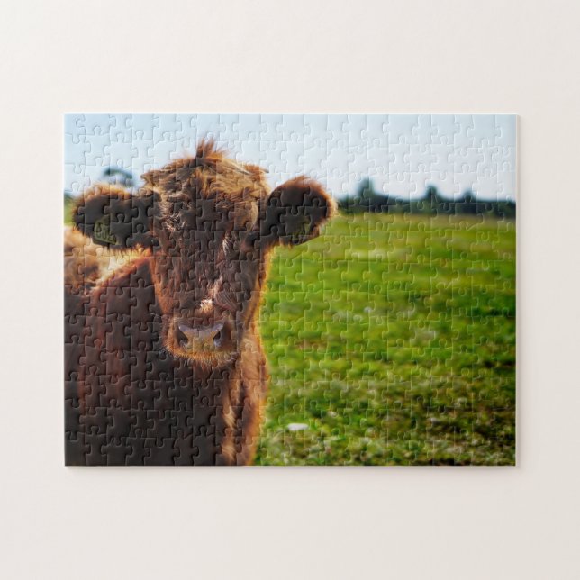 Puzzle Jeune vache Brown en champ de pâturage (Horizontal)