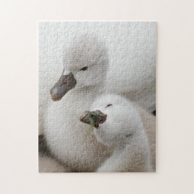 Puzzle Jeunes cygnes de cygne muet (Vertical)