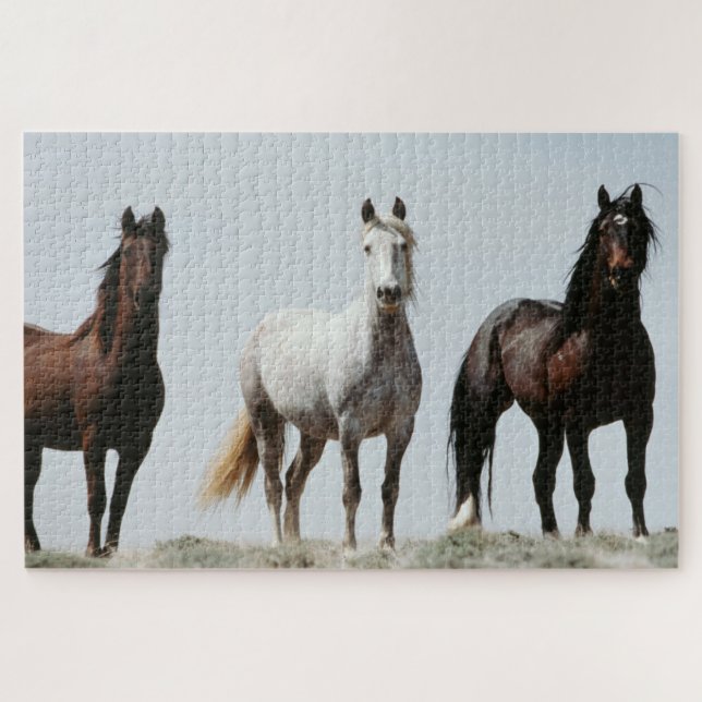 Puzzle Jeunes étalons sauvages (Horizontal)
