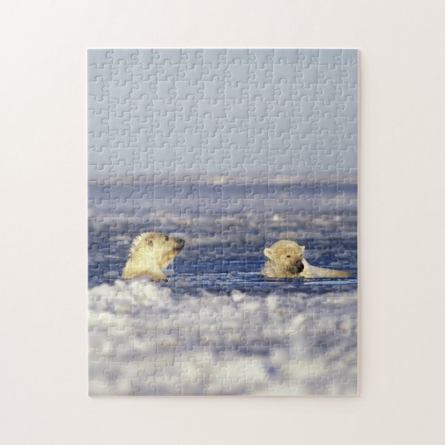 Puzzle Jeunes ours polaires jouant (Vertical)