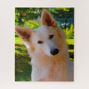 Puzzle Jigsaws Chien Chien Blanc Suisse.