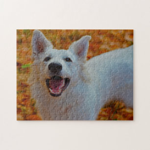Puzzle Jigsaws Chien Chien Blanc Suisse.