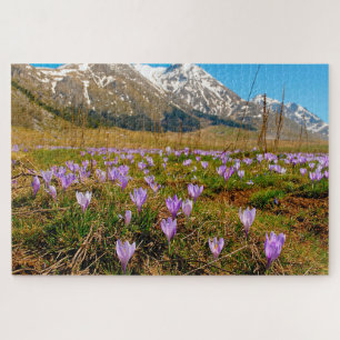Puzzle Jigsaws Crocus Abruzzo Gran Sasso Italie.