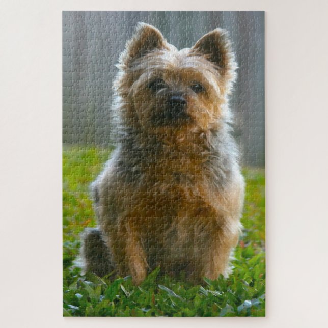 Puzzle Jigsaws de chien de Terrier soyeux. (Vertical)