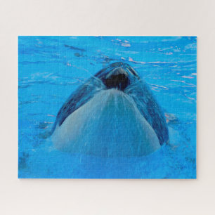 Puzzle Jigsaws Orques ou baleines tueuses