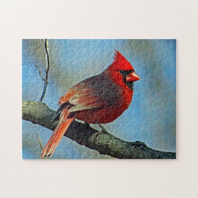 Puzzle Joli Cardinal Rouge Photo (Horizontal)