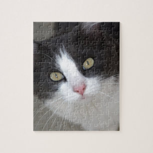 Puzzle Joli chat gris et blanc