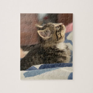 Puzzle Joli Chat Laissez cette photo ou ajoutez votre p