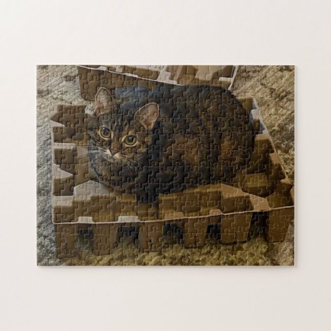 Puzzle Joli chat tigré dans une boîte d'insertion d'aspir (Horizontal)