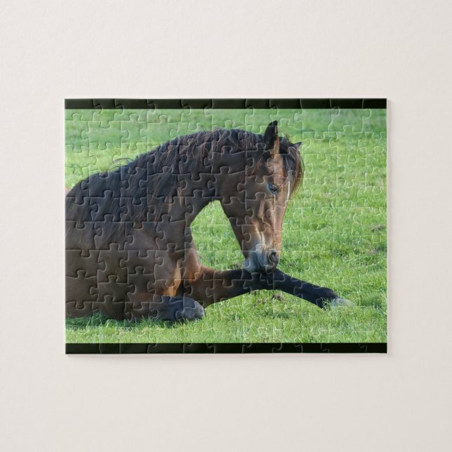 Puzzle Joli Cheval Brown allongé dans l'herbe (Horizontal)