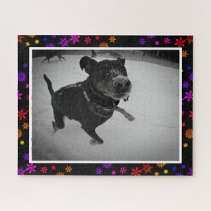 Puzzle Joli chien adorable Black Lab Berger neige
