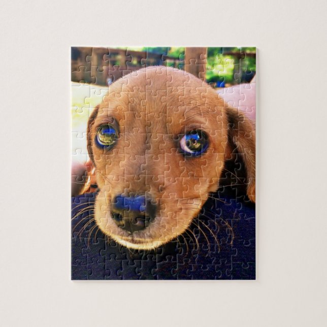 Puzzle Joli chien chiot Brown Dachshund (Vertical)