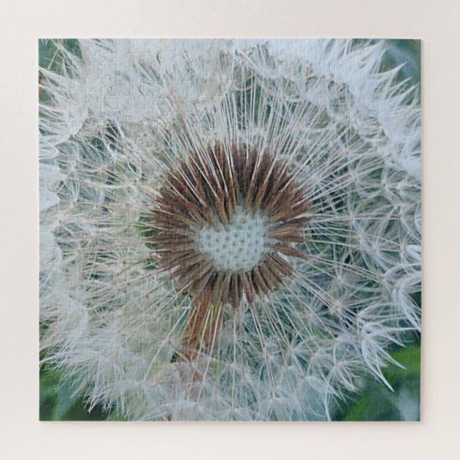 Puzzle Joli Dandelion blanc (Vertical)