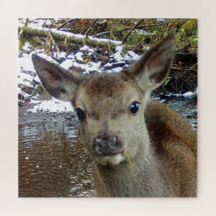Puzzle Joli Faon Bébé Cerf Rouge Scène Boisée