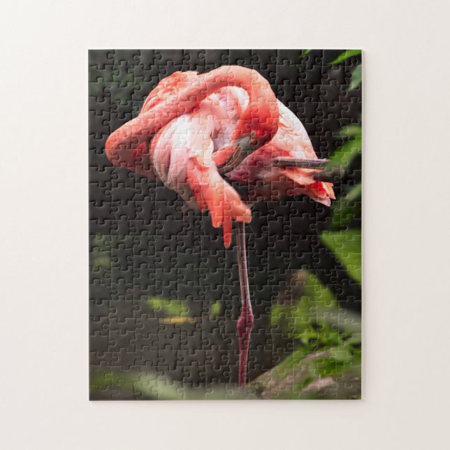 Puzzle Joli Flamant rose rose (Vertical)