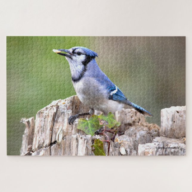 Puzzle Joli geai bleu perché sur une souche d'arbre (Horizontal)