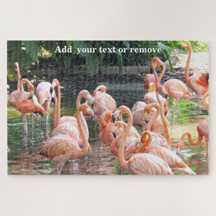 Puzzle Joli groupe de flamants roses dans l'eau,