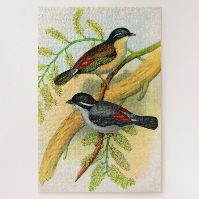 Puzzle joli imprimé d'oiseaux (Vertical)