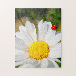 Puzzle Joli Ladybird Sur Marguerite Daisy Flower Plutôt