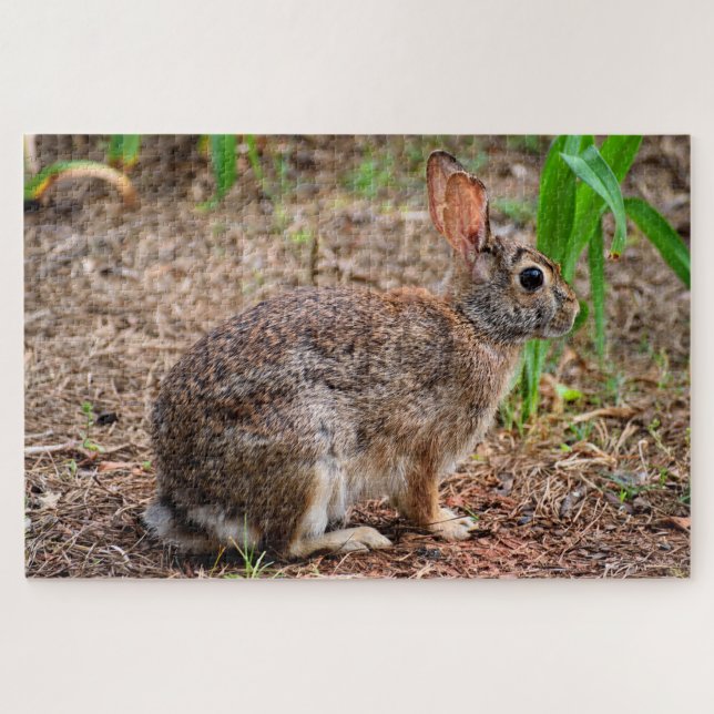Puzzle Joli lapin sauvage (Horizontal)