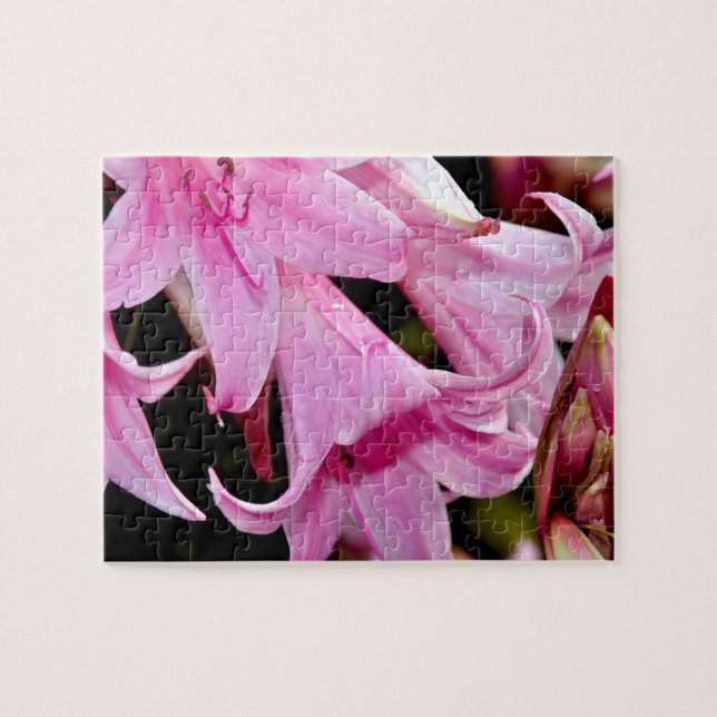 Puzzle Joli lys roses (Horizontal)