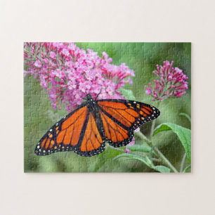 Puzzle Joli monarque papillon rose floral photo