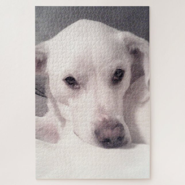 Puzzle Joli oeil à l'âme Chien chiot blanc et gris (Vertical)