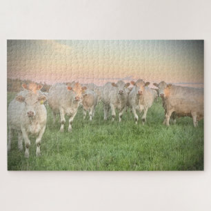 Puzzle Joli Pastel Charolais Cattle in Pastel