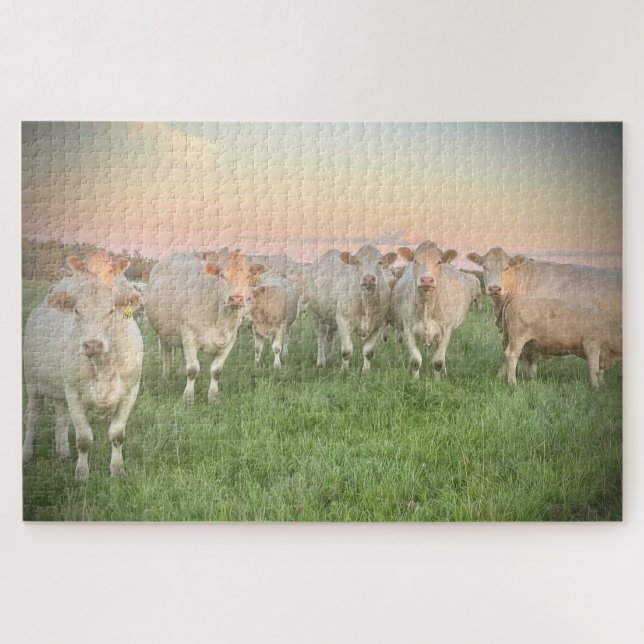 Puzzle Joli Pastel Charolais Cattle in Pastel (Horizontal)