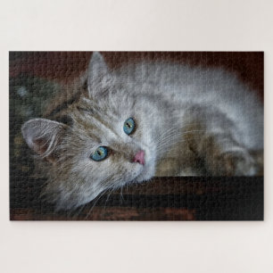 Puzzle Joli petit chat